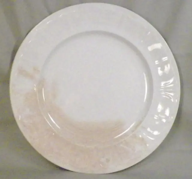 Antique Ironstone Dinner Plate T & R Boote Sydenham Shape Scallops As Is
