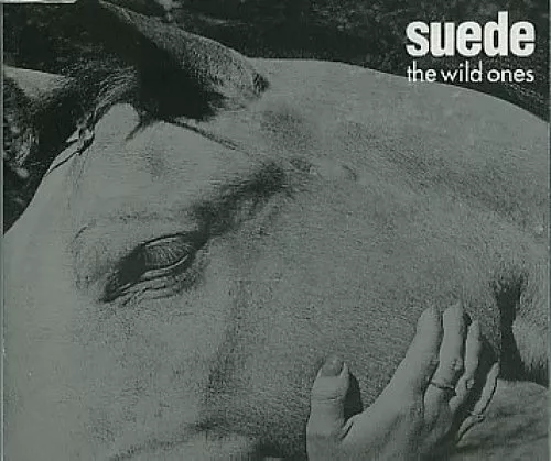 Suede Wild ones (#6608222)  [Maxi-CD]