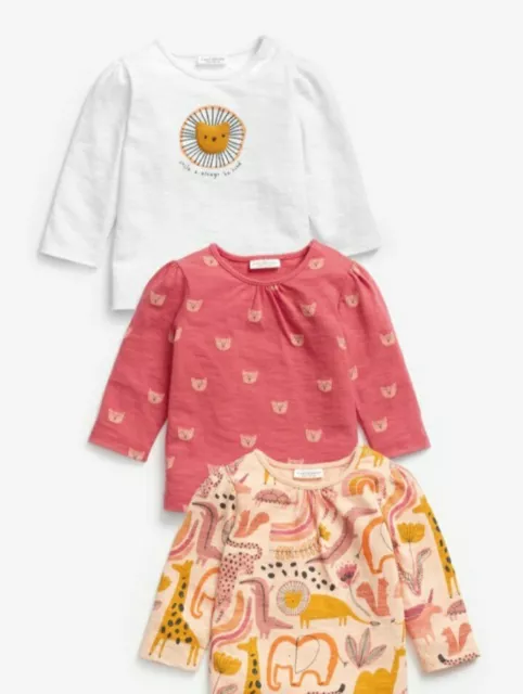 Next baby girl 3-6 months X 3 Tops Bnip