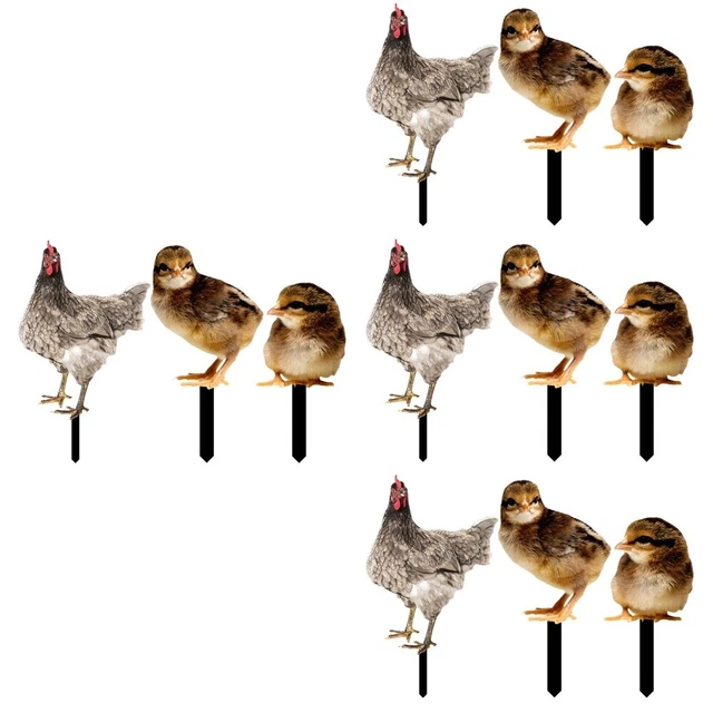 12 Pcs Chicken Stake Garden Decoration Insert Outdoor Statues Decorations