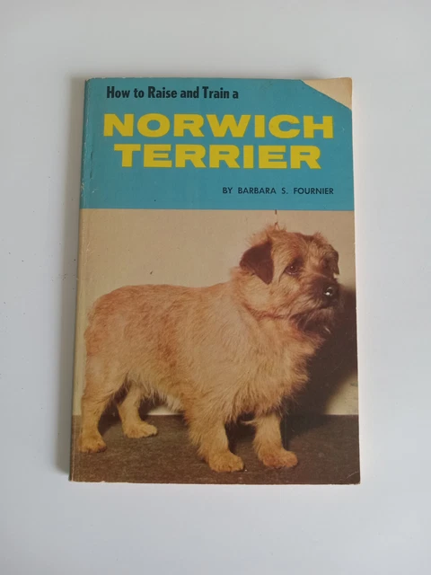 Terrier Dog Pet Puppy Grooming Norwich Breed Pedigree Dogshow Vintage 1967