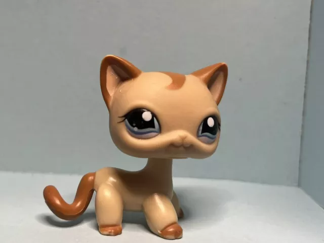 Littlest pet shop lps #1024 Short hair cat