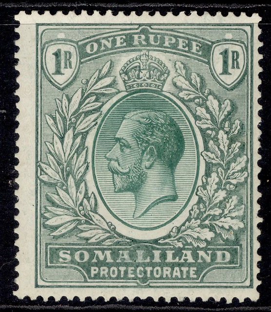 SOMALILAND PROTECTORATE GV SG82, 1r dull green, M MINT.