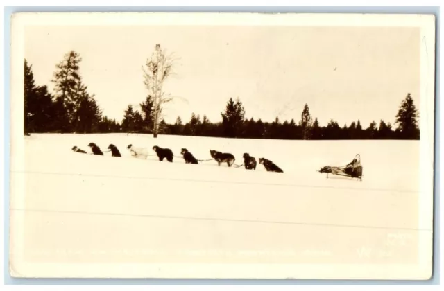 c1925 Dog Sledding Team Sled W.H. Sawtooth Mountains ID RPPC Photo Postcard