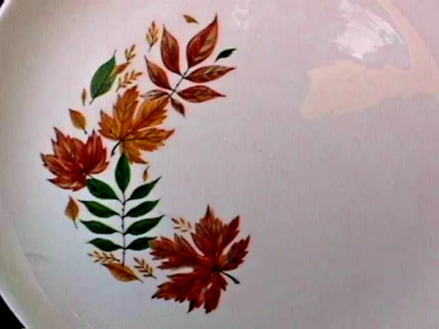 **Autumn Leaves (1) 10 1/8" Dinner Plate Salem China #2-Ms60-G 3