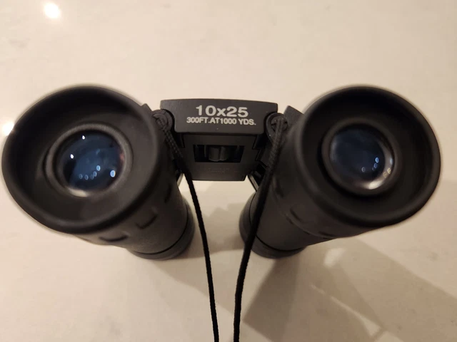 BUSHNELL 10X25 COMPACT BINOCULAR WITH RYDER CUP CASE (golf, sports, hunting)