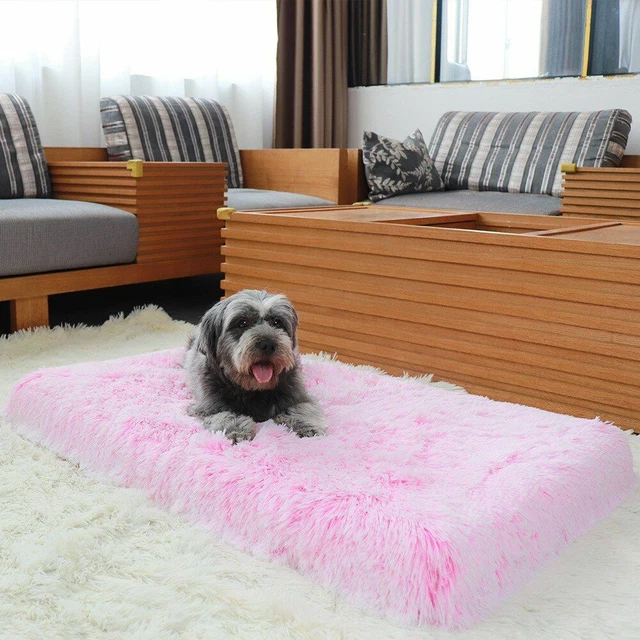 Super Soft Memory Foam Dog Beds Comfortable Plush Sofa Bed For Pet Sleeping Tool 4