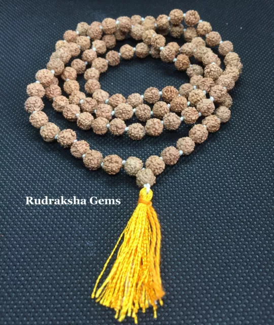 Genuine 8mm Rudraksha Mala Rudraksh Rosary Bead Hindu Meditation 108+1 Beads UK 2