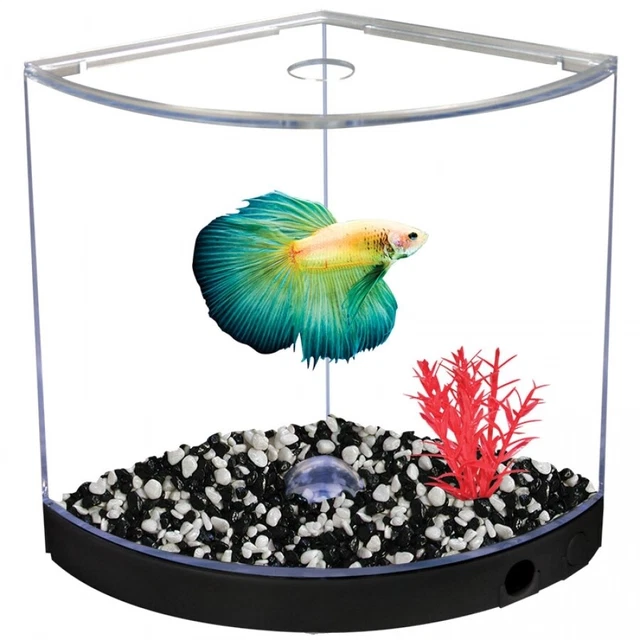 Betta Fighting Fish Black Arc Tank 1.2L Beginners tank by Aqua One