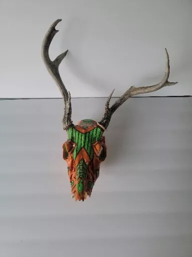 Authentic real Folk art DEER  skull hand painted