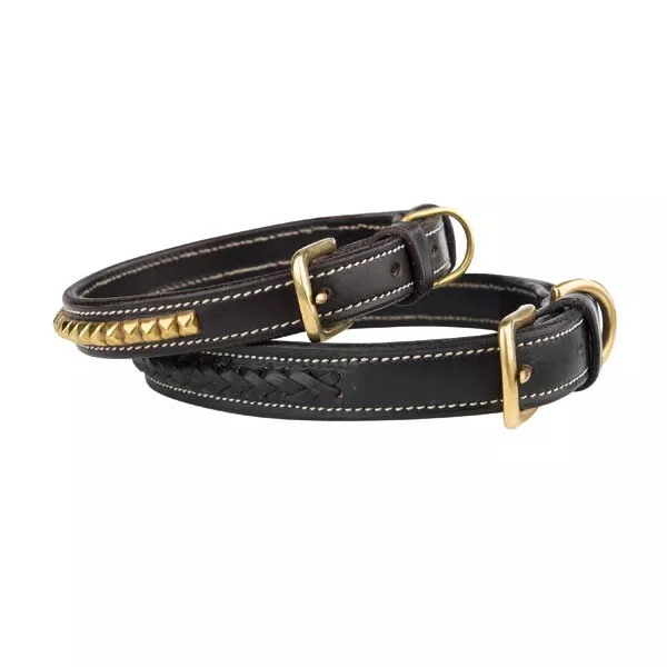 Zack & Zoey Genuine Leather Pharaoh Dog Collars 4 Sizes, 2 Styles