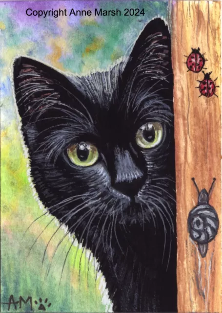 ACEO Original Black Cat Snail Ladybird Painting Great Garden Race Anne Marsh Art