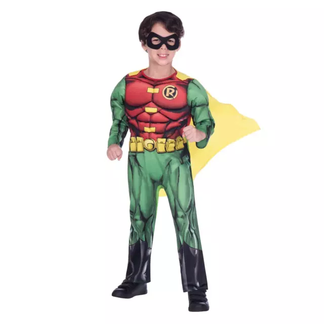 Boys Official DC Comics Licensed Robin Superhero Birthday Party Theme Costume