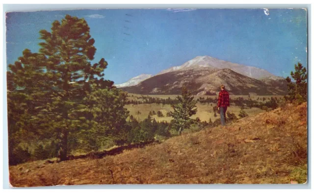 c1960's Mount Meeker Chiefs Head Meeker Park Vrain Road Park Colorado Postcard