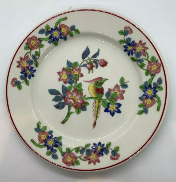 1 Plate Parrot Bird Floral Red Rim Restaurant Syracuse China USA Flowers Vintage