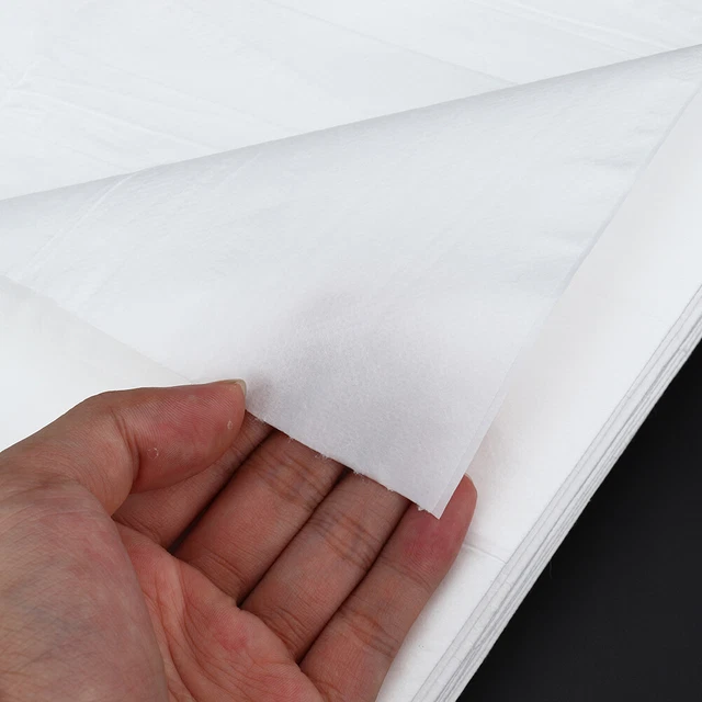 10Pcs Draps Jetables Imperméables Et Résistant à L'huile Spa Salon De Beauté Mas