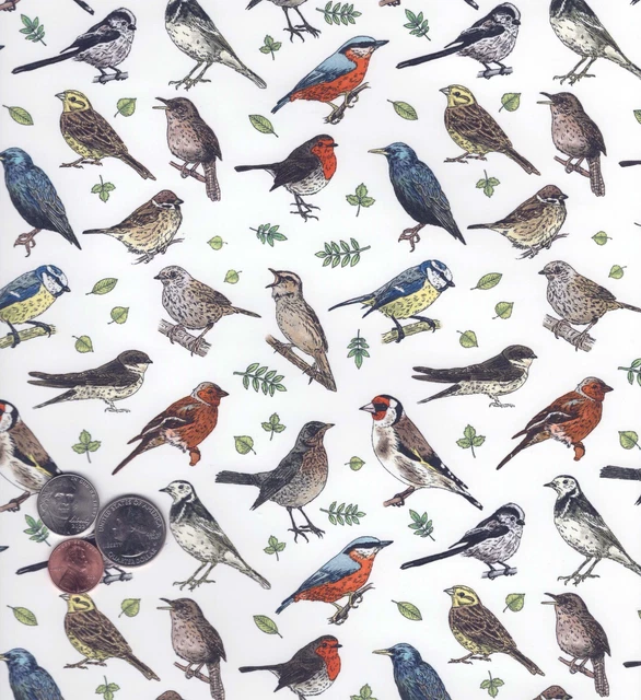 Hoja de calcomanía de cerámica sobreesmaltado Allover Bird Song Chintz 1 pieza 9"" X 13-3/4"" 3605