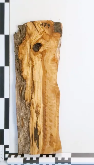 Olivenholz Olivenbohle Epoxid Holz 2,8cm dick Servierbrett Olivenbrett A179