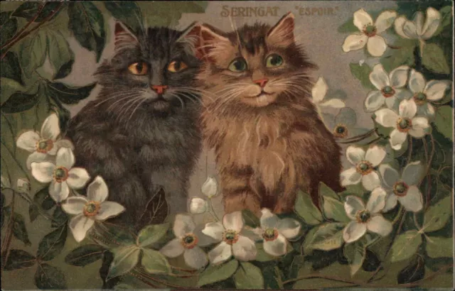 Sweet Kitty Cats Flowers SERINGAT ESPOIR Maurice Boulanger c1910 Postcard