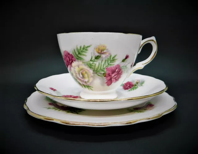 Vintage Royal Vale Carnation Bone China Trio Tea Cup Saucer Plate England 8272