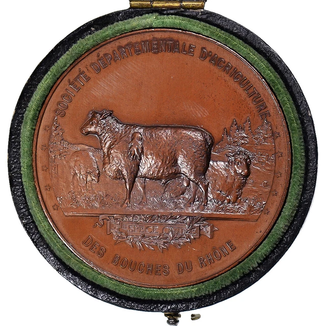 TROISIÈME RÉPUBLIQUE Médaille, Société des aviculteurs fme_859924 Médailles