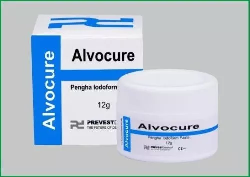 Prevest Denpro Alvocure Dry Socket Paste Treatment and Post Extraction Dressing,