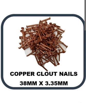 HEAD 25 Solid Copper Nails Clout Head Tree Stump Killer Roofing DIY 7 Sizes Available 