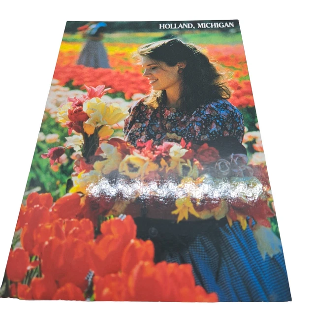 Holland Michigan Tulip Time Festival Collectible Post Card Bulb Gardens Parade