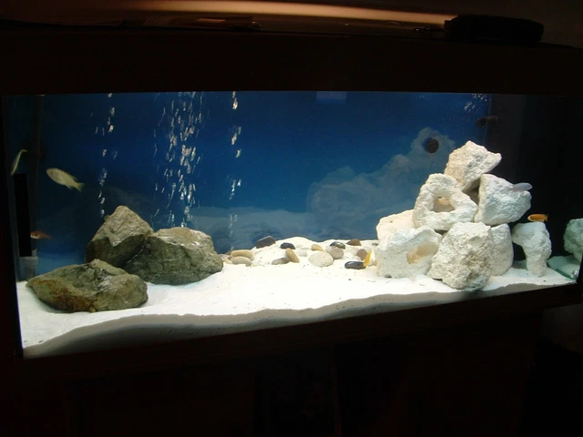 5kg Bag of Natural White Silica Sand for Aquariums