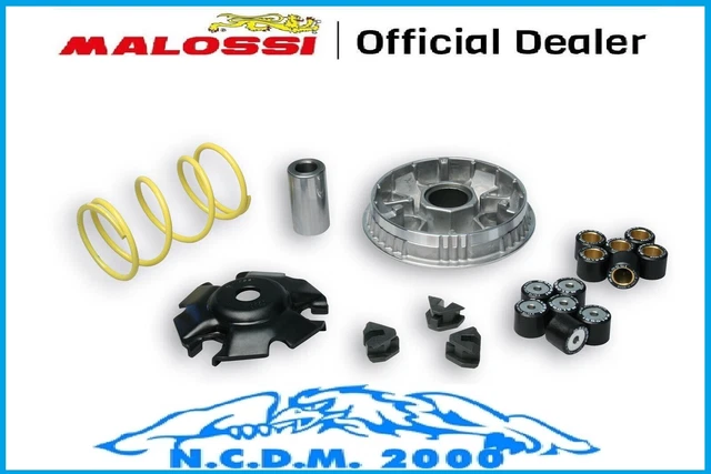 Variateur Malossi pour Scooter Honda 50 SFX 51 7117 / Multivar Neuf