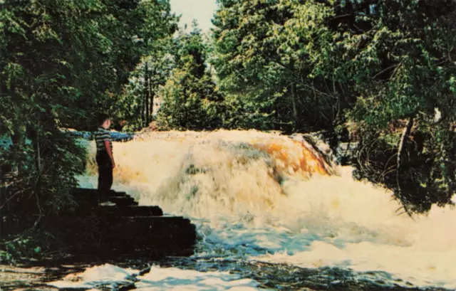 Newberry MI Michigan UP, Lower Falls Tahquamenon River, Vintage Postcard
