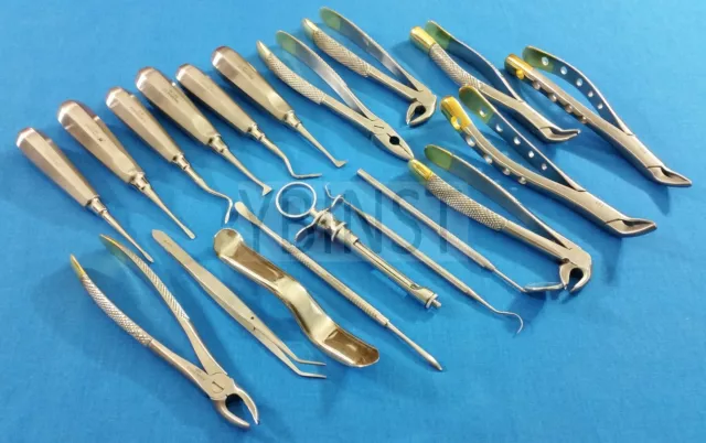 19 Pcs Oral Dental Root Surgery Extracting Elevators Forceps Instruments Kit Set