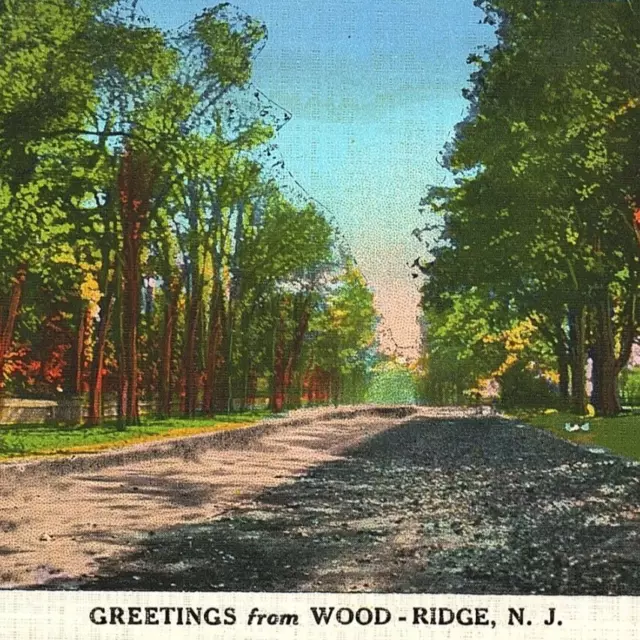 c.1930 Greetings From Wood-Ridge New Jersey Shady Tree Road Postcard NJ Bergen