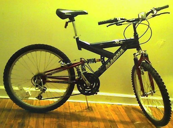 lopifit walking bike amazon