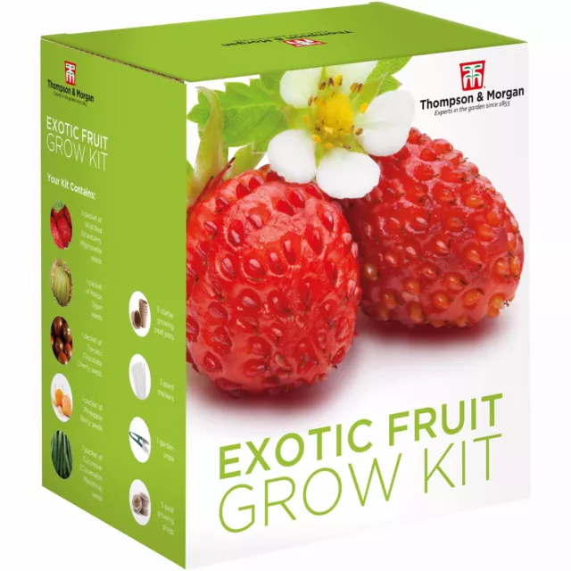 Seed Fruit Exotic Garden Growing Kit 5 Juicy Fruit Varieties to Grow T&M