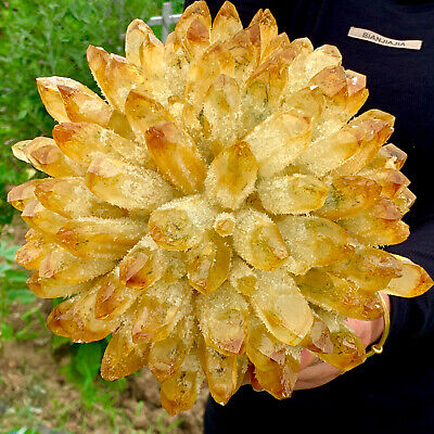 8.12LB newly discovered mineral specimen of yellow mirage Quartz Crystal Cluster