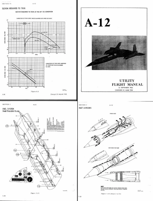 SR-71 Habu Blackbrd Arcraft Shaped Challenge Con - Etsy - Foto 11