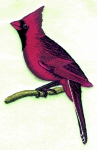 Embroidered Long-Sleeved T-Shirt - Cardinal BT2821