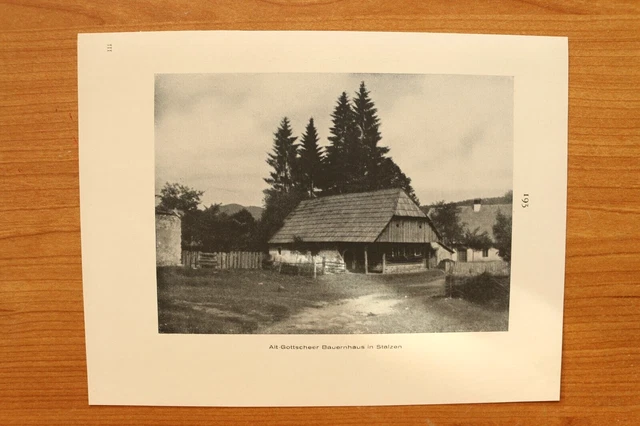 DH3) Alt Gottscheer Bauernhaus Stalzen Krain Slowenien 1926 Ort Haus 21x16cm
