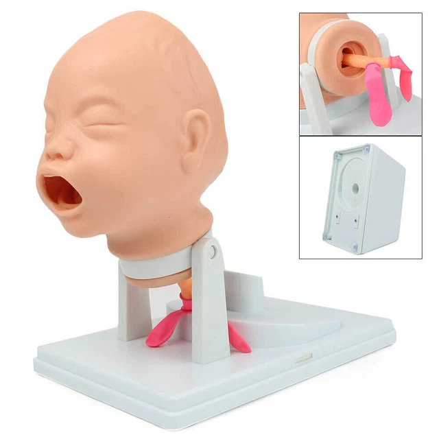 Baby Intubation Manikin Study Teaching Model Airway Management Trainer w/Tube