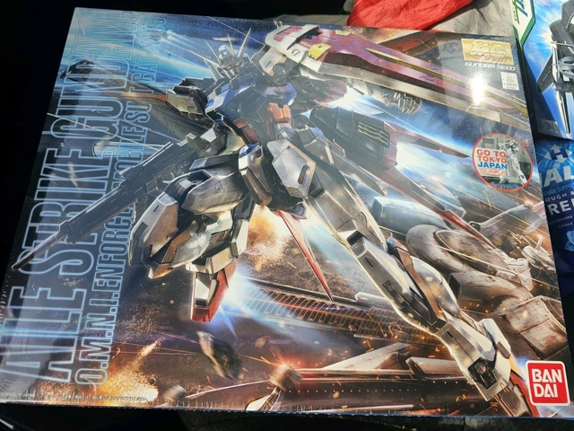 MG 1/100 WING STRIKE GUNDAM Ver.RM (colore ricircolo/rosa neon) (GAT-X105+AQM/E-X01) - Rise of Gunpla