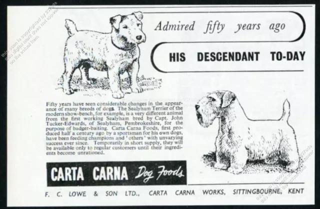 1948 Sealyham Terrier 1898 & modern dogs Carta Carna dog food vintage print ad