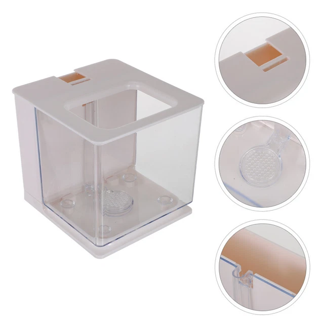 Shrimp Aquarium Fish Incubator Box Small Glass Tank Tropical Fish Tank