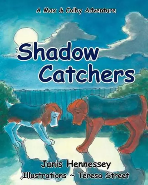 Shadow Catchers by Janis Hennessey (English) Paperback Book