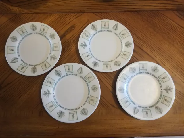 Pfaltzgraff Naturewood Salad Plates 9" Stoneware Garden LOT OF 4