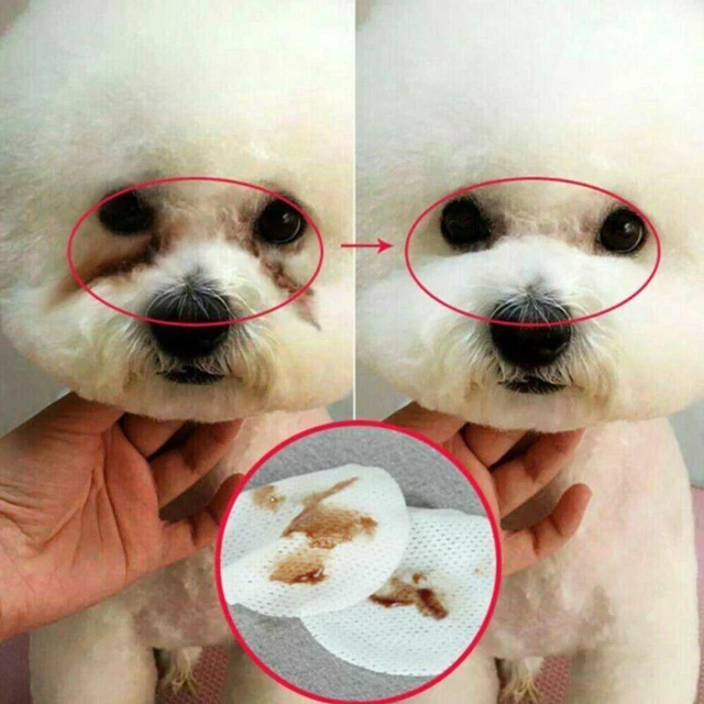 Wipes Wet Pet Eye Dog Cat Tear Stain Remover Cleaning Paper Hot Towels U1Q7