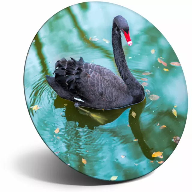 Awesome Fridge Magnet - Beautiful Black Swan Cool Gift #16395