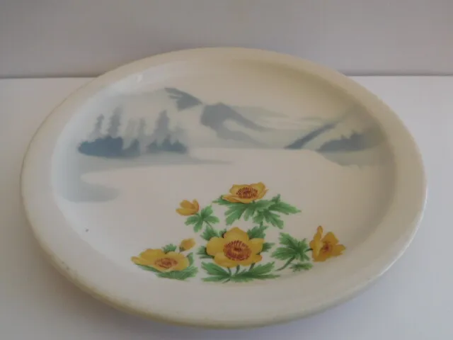 Railroad-Great Northern Railway Bread Plate Mountains & Flowers Pattern Bs
