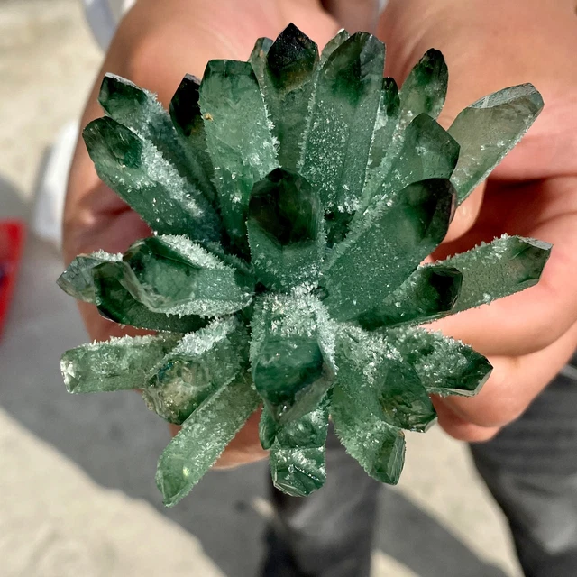279G New Find Green Phantom Quartz Crystal Cluster Mineral Specimen Healing 11