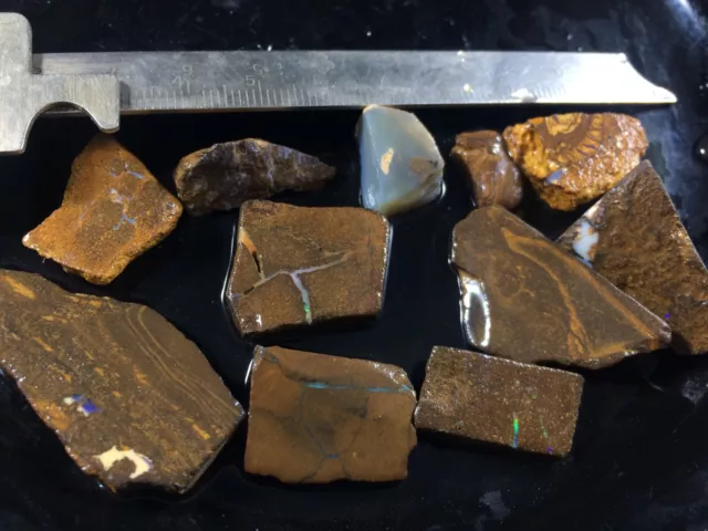 Australian Boulder Opal Rough Precuts/Rubs 198cts. (39,6gms)